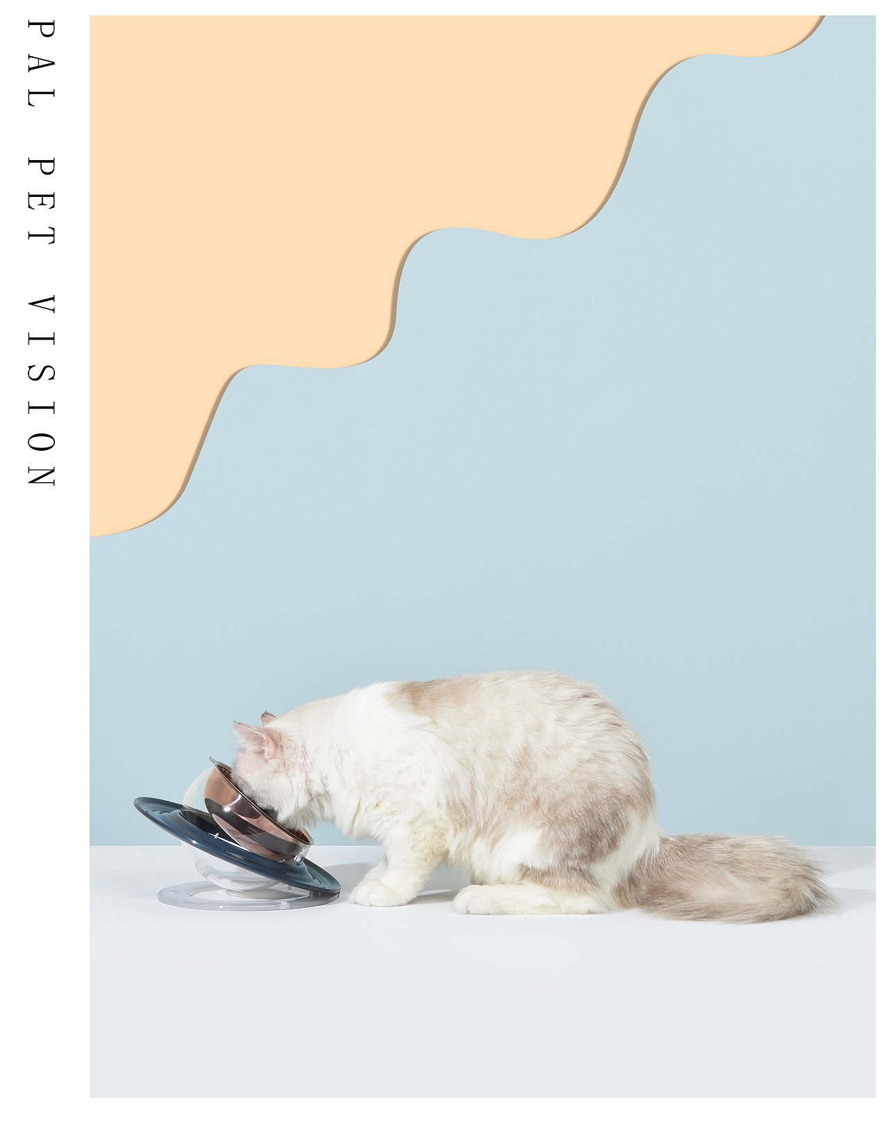 珀珀宠影之宠物用品/宠物产品摄影/猫咪喂食碗（图ZMjE3MzQwNTA4） - 宠物摄影 - 站酷设计师珀珀视觉原创素材 - 站酷ZCOOL
