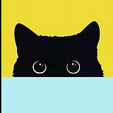 黑猫怪的头像