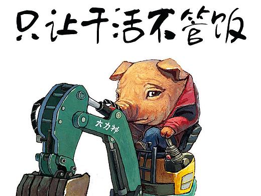 干活的猪
