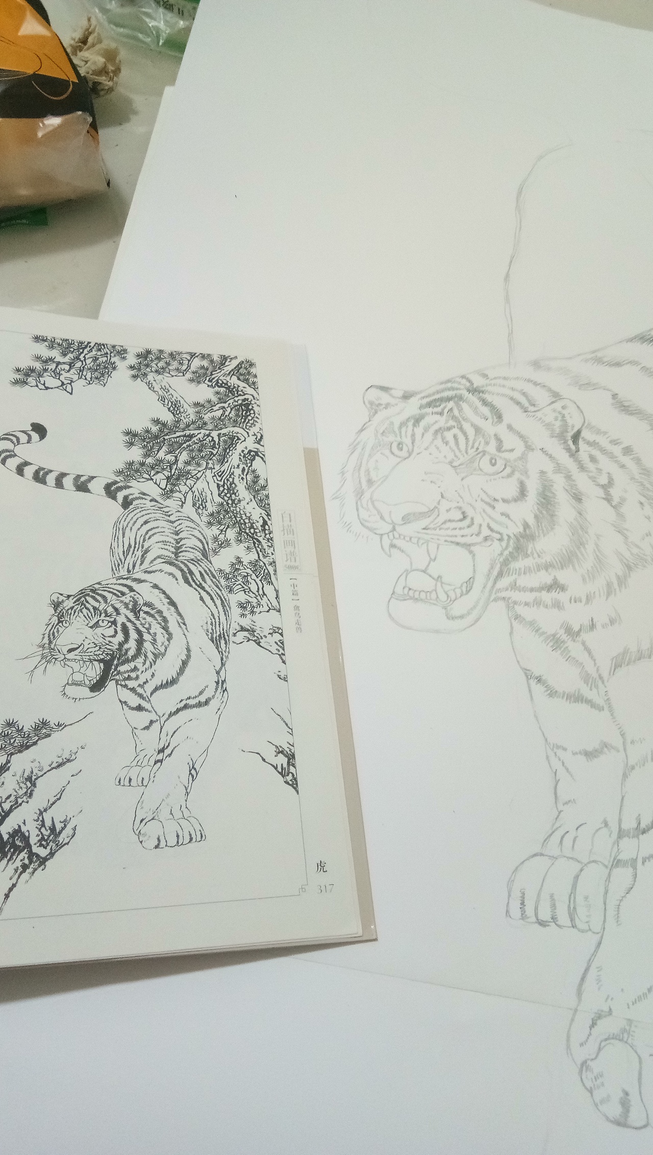 日常白描练习（图ZMTg1MzEyNjQw） - 绘画 - 站酷设计师你微笑时好美tcl原创素材 - 站酷ZCOOL