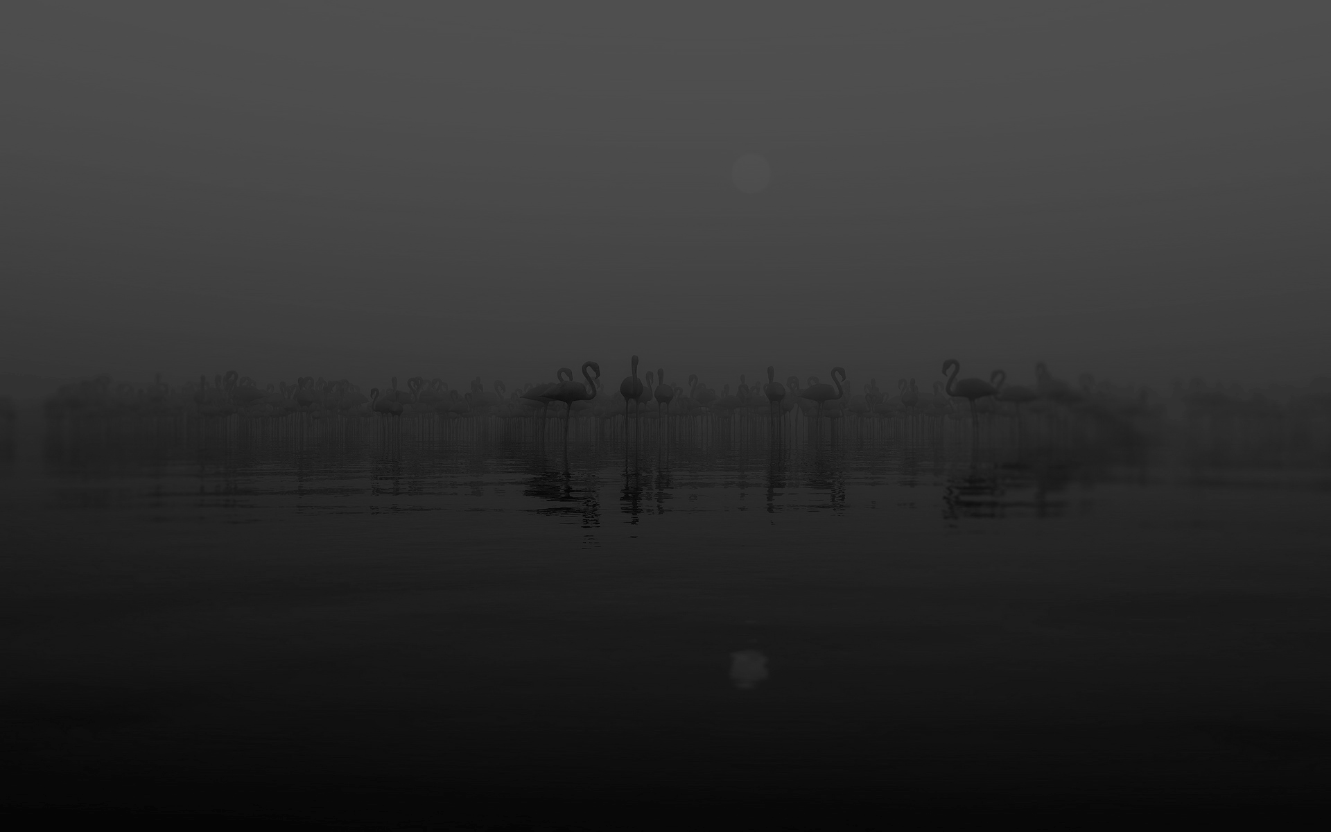 五瓣A卡的个人主页（背景预览） - 主页背景设置 - 站酷设计师五瓣A卡原创素材 - 站酷ZCOOL