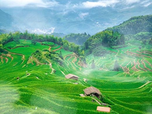 我们是这一世里，望而不及的念尘。