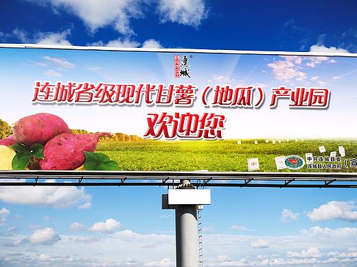 大型户外广告牌中国客家硒都高速路口食品农产品产业牌