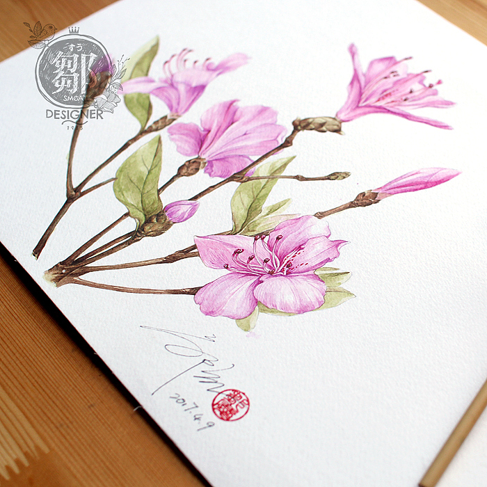 杜鹃花系列——华丽杜鹃(图ZNzc5OTI4NTY=) - 商业插画 - 站酷设计师鄒慶原创素材 - 站酷ZCOOL