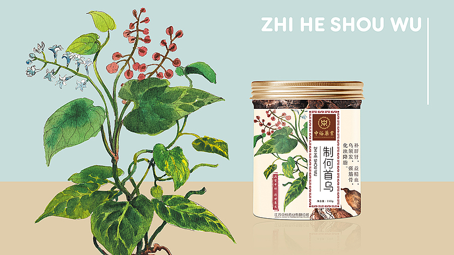 中裕 草药插画包装设计（图ZMTQyNDU1NzQ0） - 包装 - 站酷设计师龍大设计原创素材 - 站酷ZCOOL