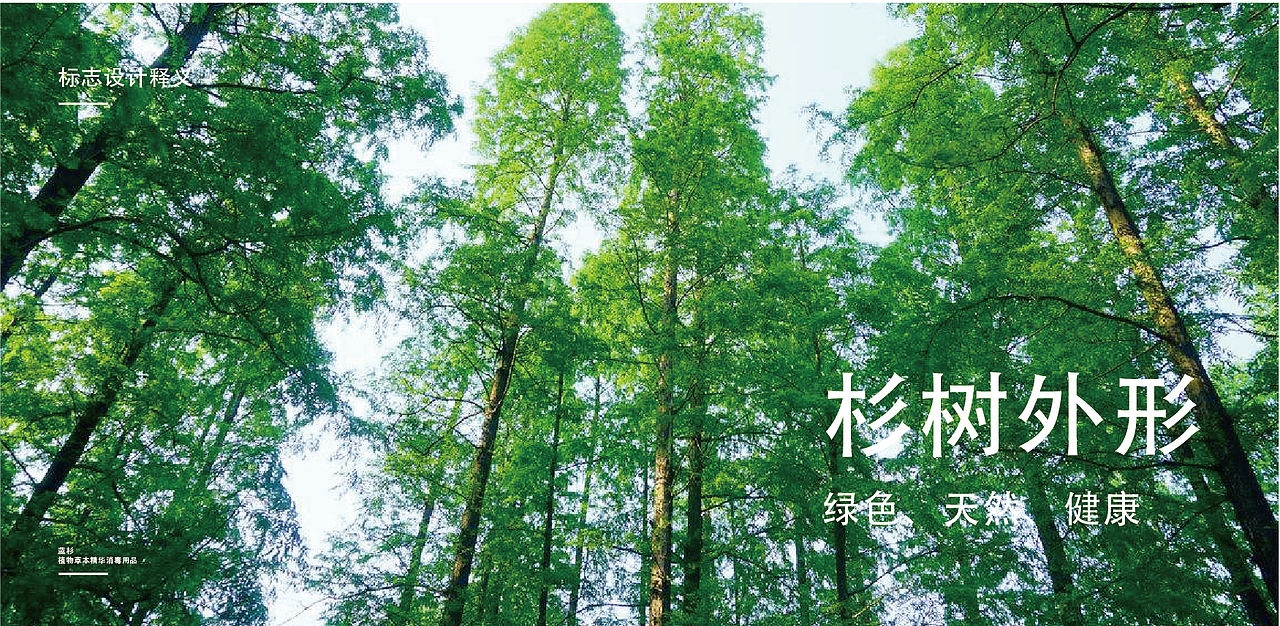 蓝杉品牌标志设计（图ZMTA4NDUwODg4） - Logo - 站酷设计师mingtianwoshiwo原创素材 - 站酷ZCOOL