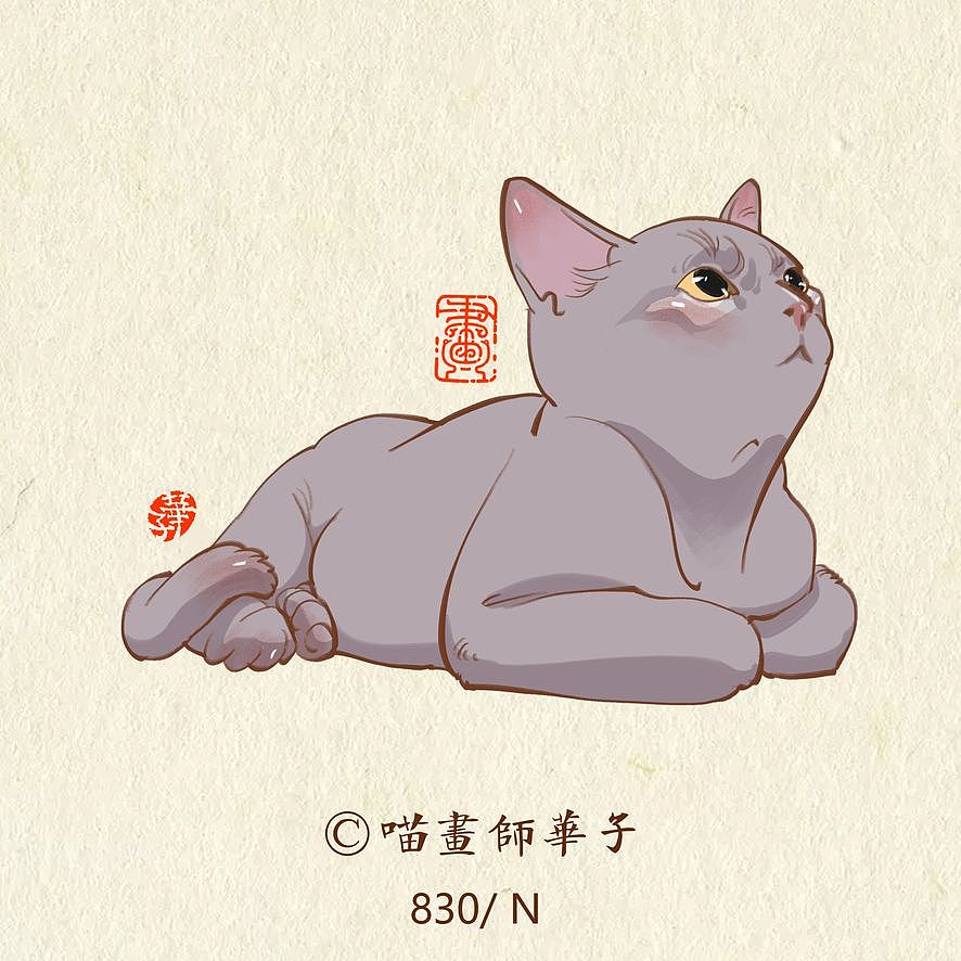 画猫的第三季150天,837天的画猫纪录