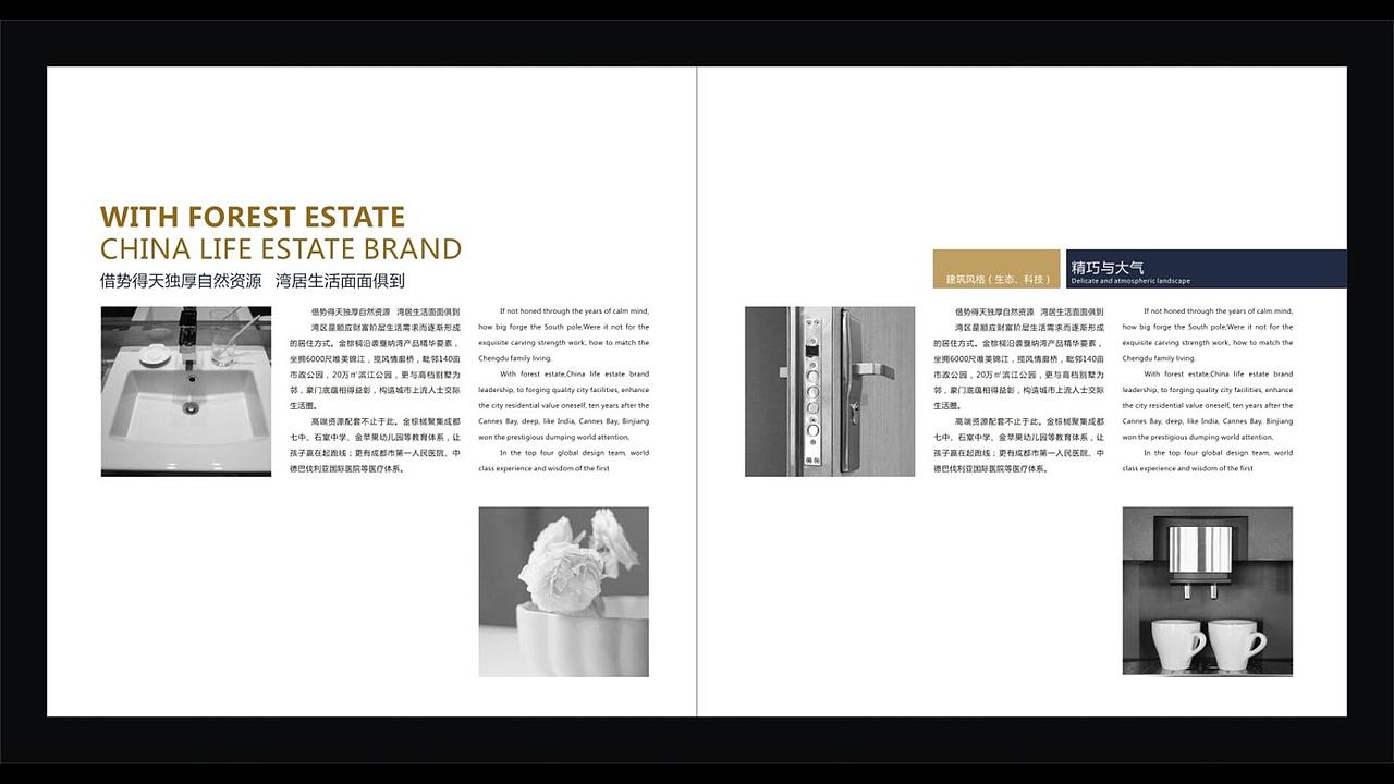 2013-2015戛纳湾金棕榈形象及部分VI应用