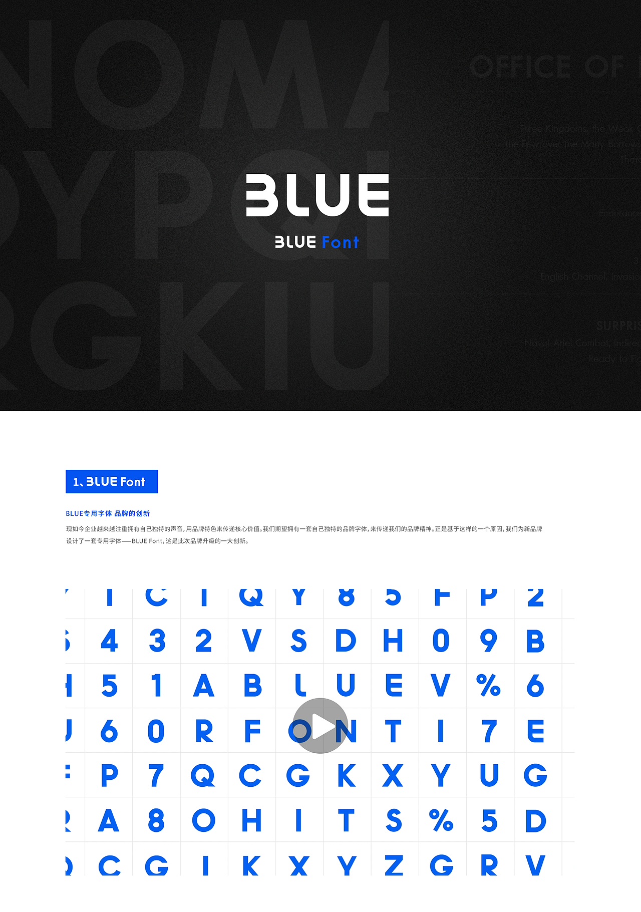 新品牌升级总结