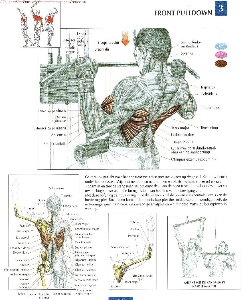 人体运动与肌肉关系-手绘稿