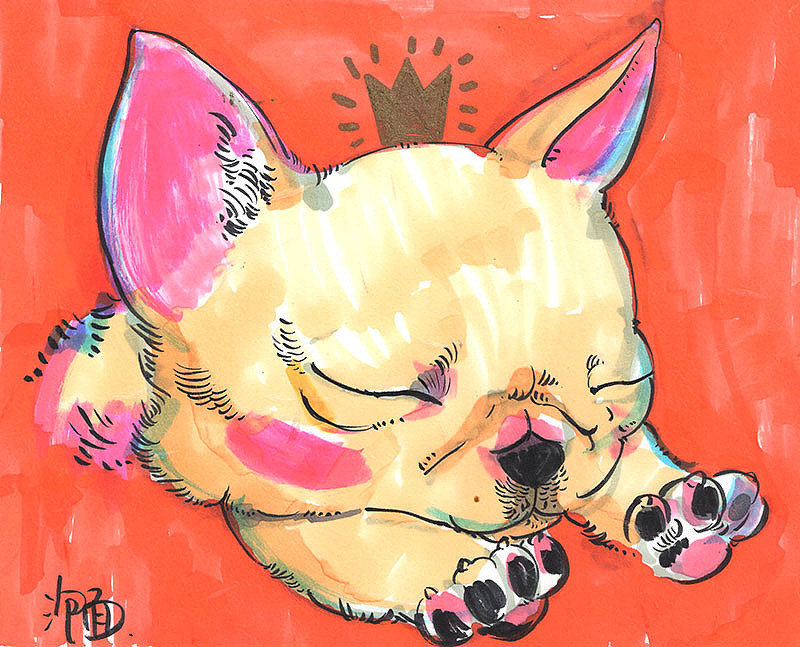 猫们~~（图ZNjUzMDQ4MDQ=） - 绘画 - 站酷设计师还是一碗泡面原创素材 - 站酷ZCOOL