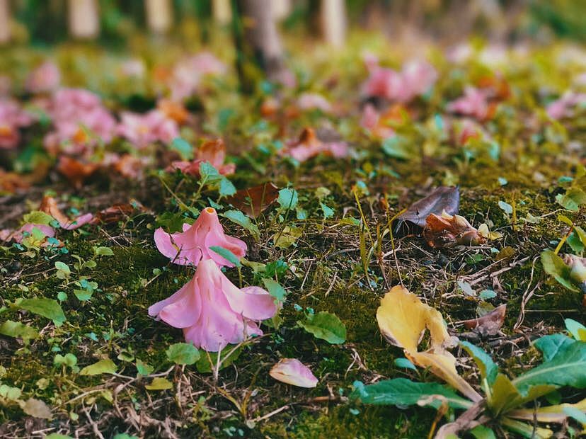 soul瞬间[6]（图ZMTA1MTY3NTM2） - 风光摄影 - 站酷设计师任意门科技原创素材 - 站酷ZCOOL