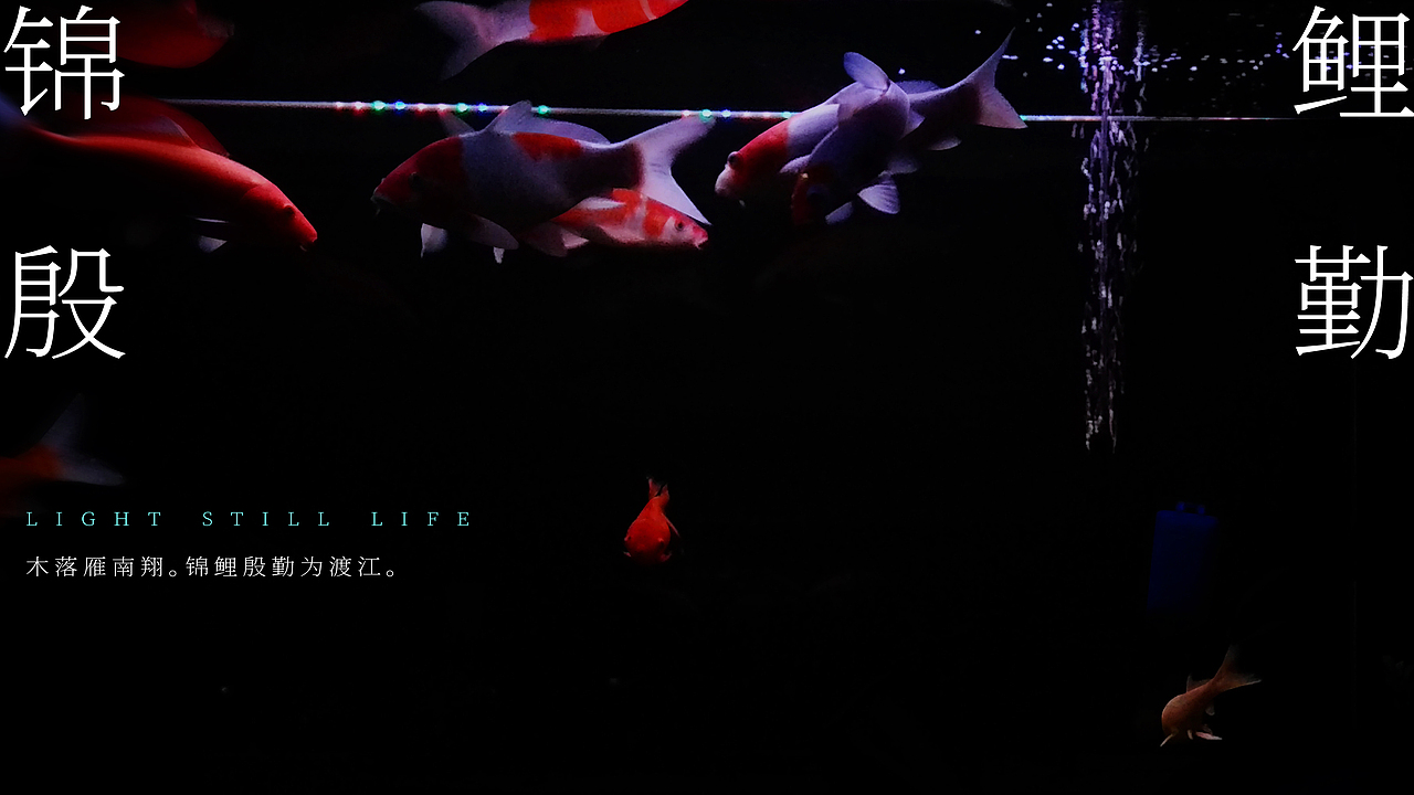 摄影打卡（SOMEONE有你）（图ZMjg3NjM5MzA0） - 人文/纪实摄影 - 站酷设计师sohochina2018原创素材 - 站酷ZCOOL