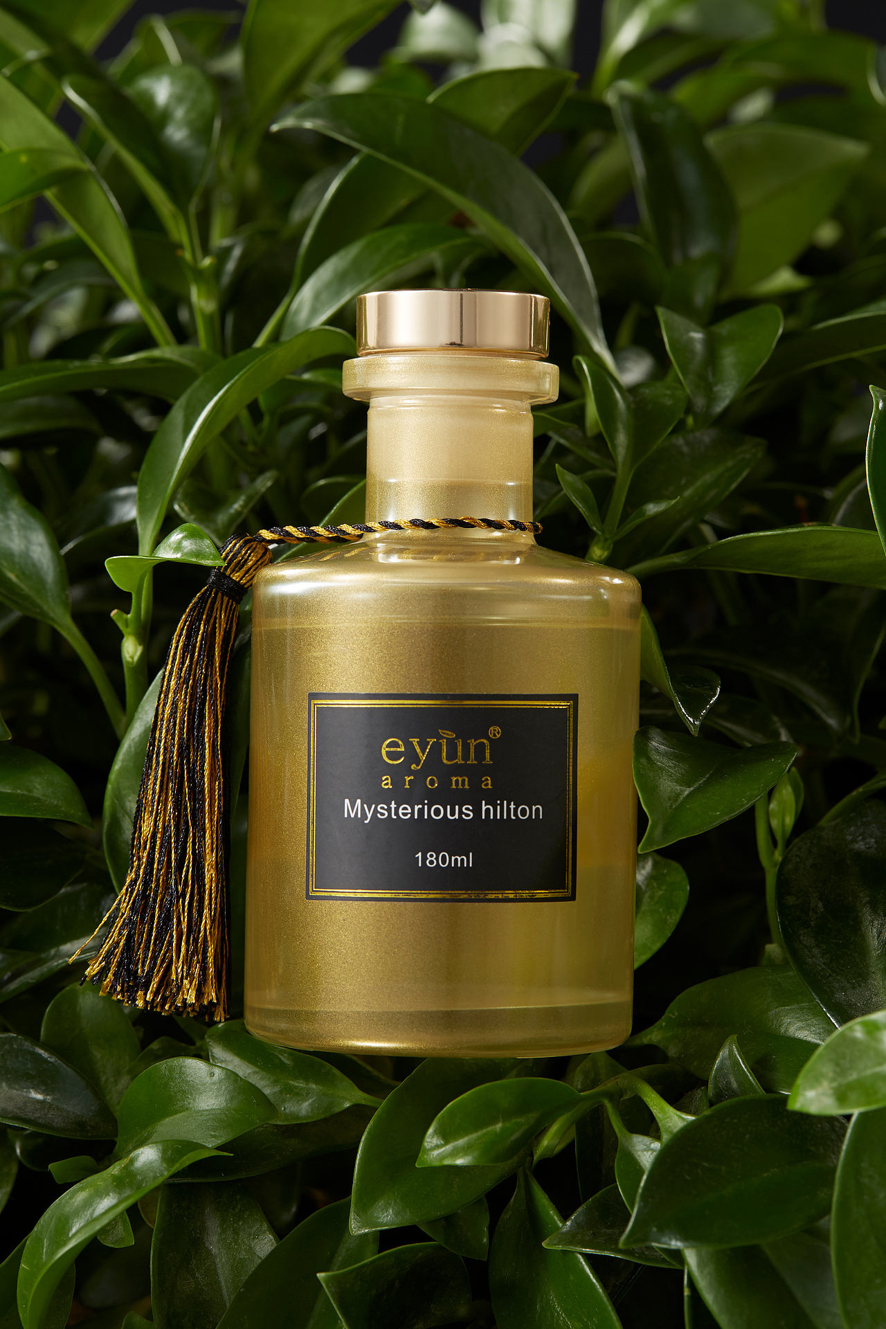 今天又加班-不知名香薰加叶子