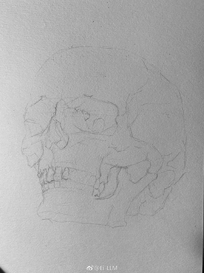 骷髅|纯艺术|绘画|ei_wyj - 临摹作品 - 站酷 (zcool)