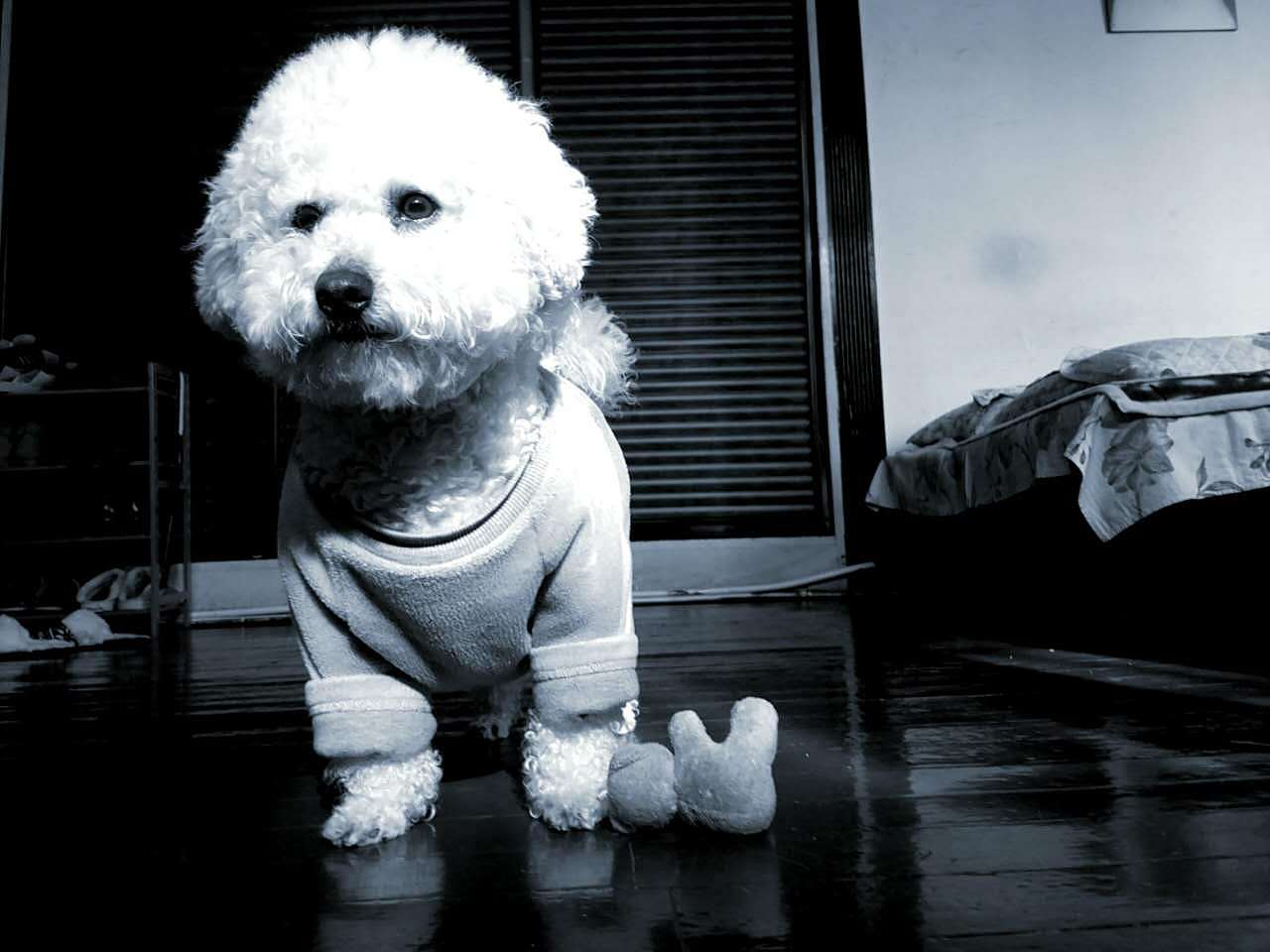 下班路上（图ZNzI0MDI4MDA=） - 风光摄影 - 站酷设计师AILLNA原创素材 - 站酷ZCOOL