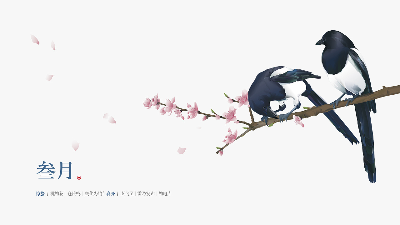 天琴山#11喜鹊 壹期壹会>|插画|商业插画|iccolee - 原创作品 - 站酷