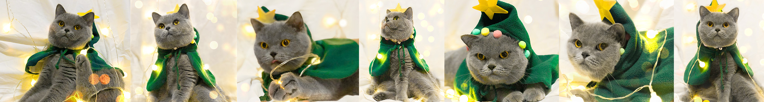 oreoreo的个人主页（封面预览） - 主页封面设置 - 站酷设计师oreoreo原创素材 - 站酷ZCOOL