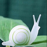 小宇今天学习了吗的头像