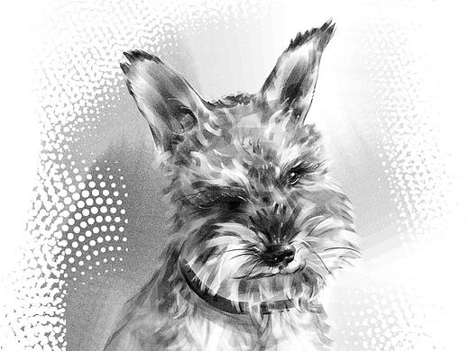 一组宠物插画习作