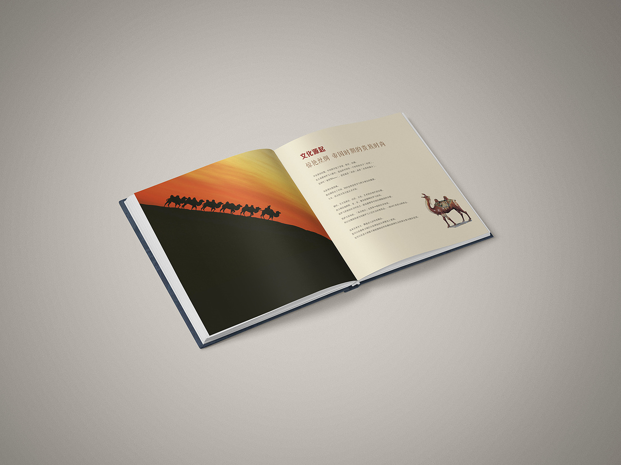 江南国际丝绸城 楼书（图ZMTMzNjk1NTI0） - 书籍/画册 - 站酷设计师六丁昭奇原创素材 - 站酷ZCOOL