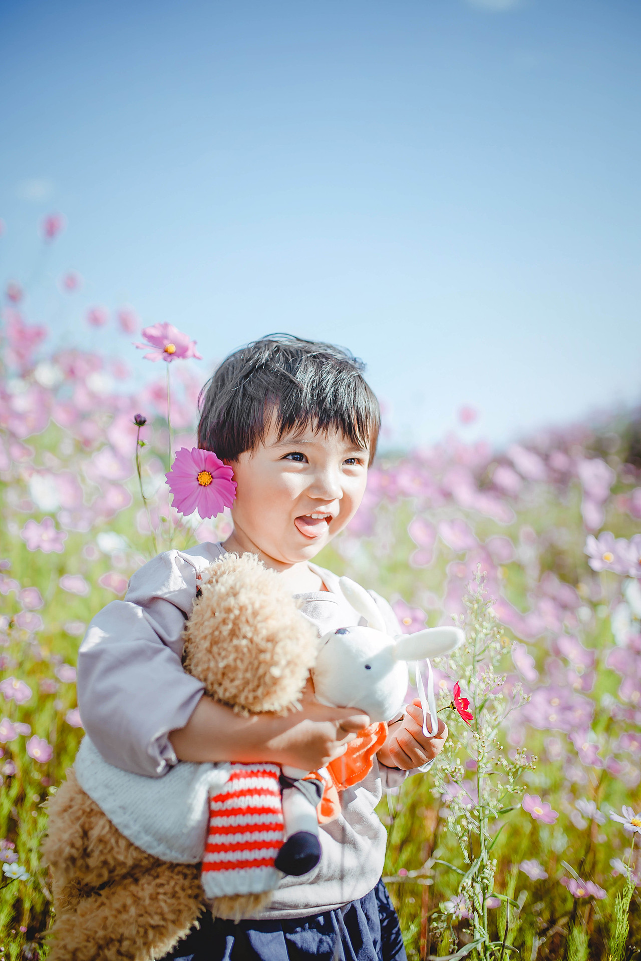 丽江 木楷 2016.10.03