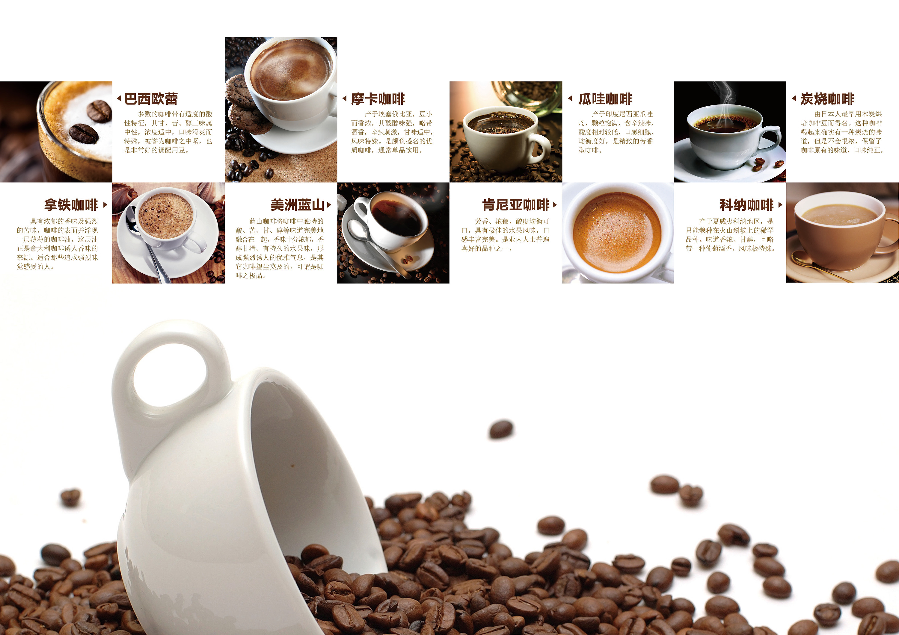 咖啡因含量比較 – Zhuoni