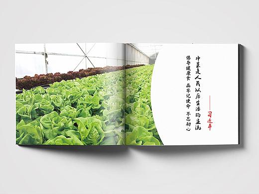 宣传册-蔬菜水果-画册