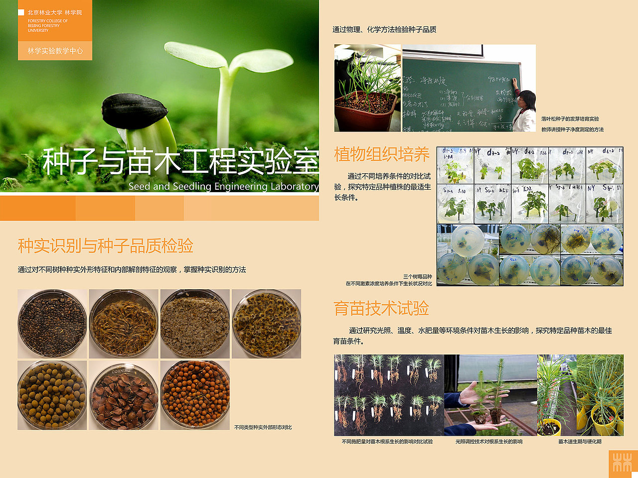 林学院展板设计（图ZMTk5OTQzNjI0） - 宣传物料 - 站酷设计师塞尚狸猫_Lemo原创素材 - 站酷ZCOOL
