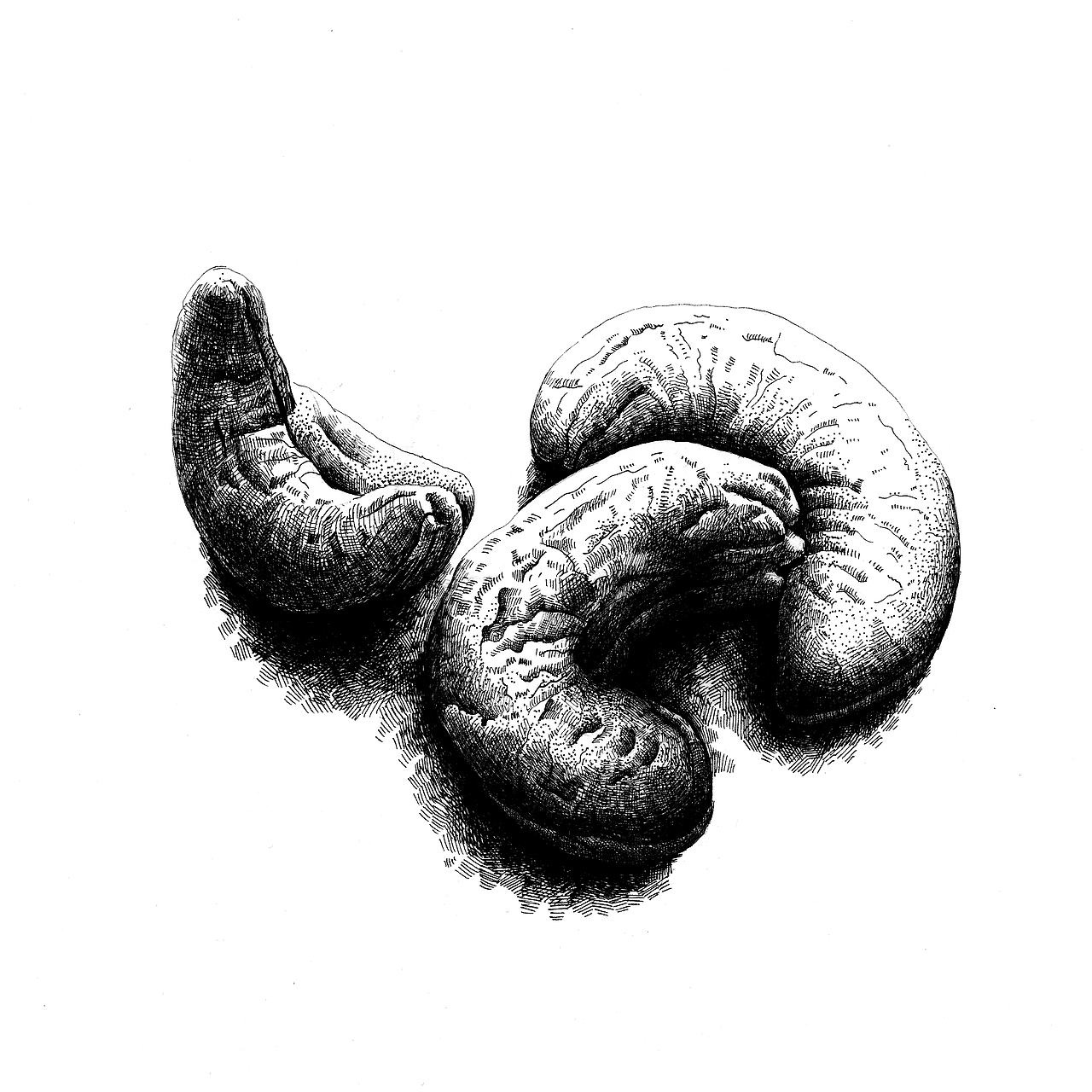 毕业设计（图ZMzI5NTU5NTI=） - 商业插画 - 站酷设计师墩墩喝牛奶原创素材 - 站酷ZCOOL
