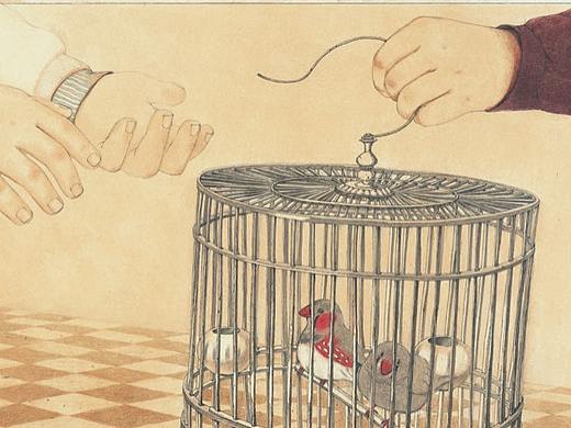 《珍珠鸟》文 冯骥才/图 梁灵惠