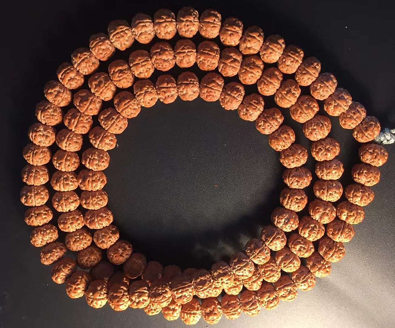 【五瓣树王 矮桩双龙纹】