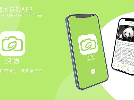 识物APP