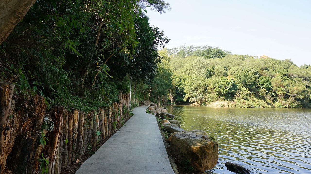 周末游玩罗湖仙湖植物园