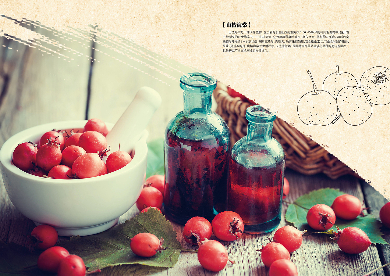 毕业设计-三江水企业宣传册