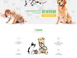 网站