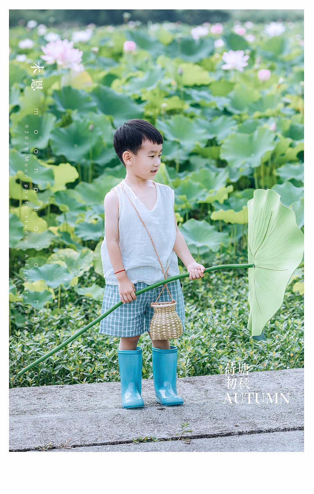 东东的荷塘叶色