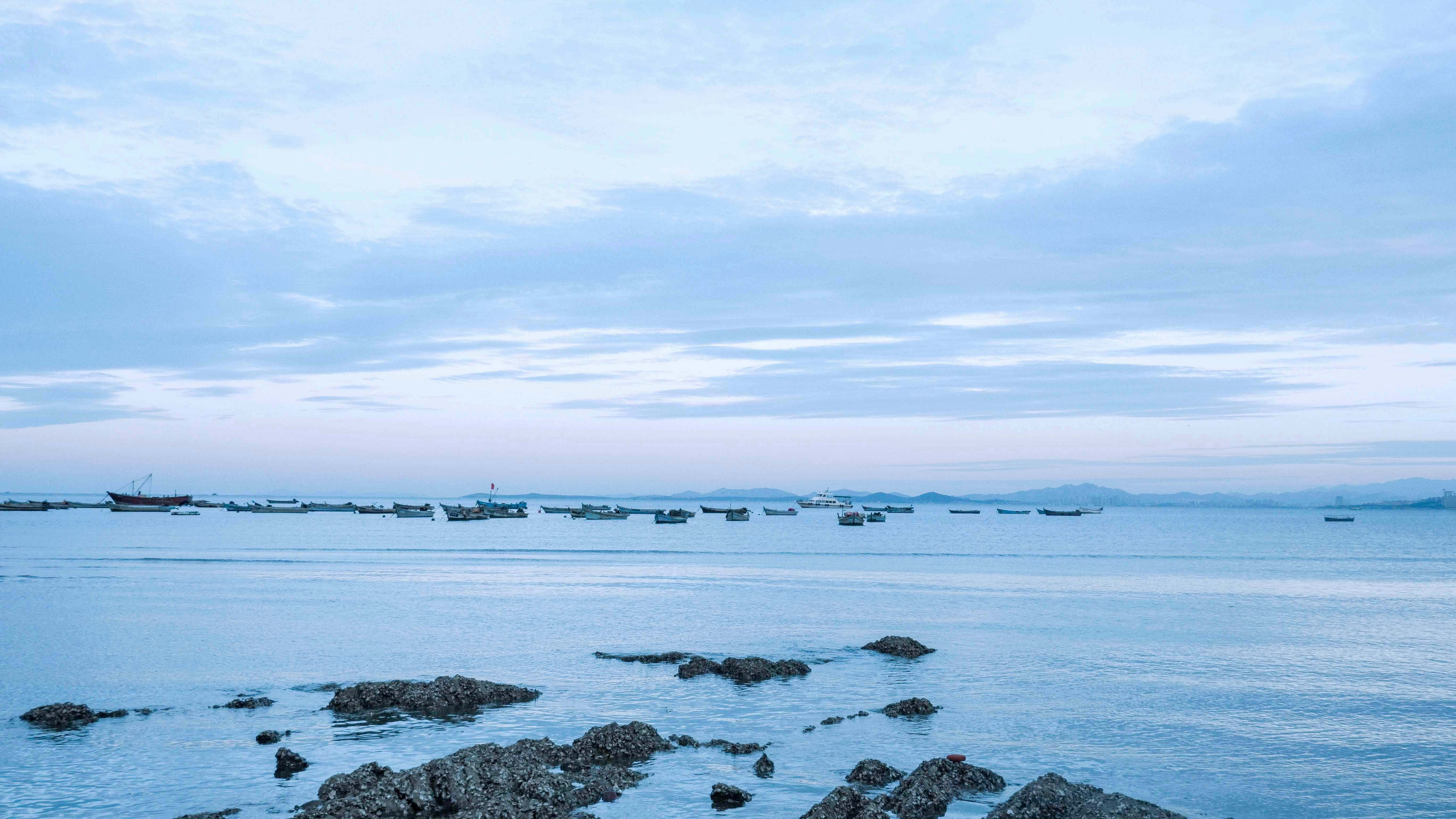 藏狐君的個人主頁（封面預覽） - 主頁封面設(shè)置 - 站酷設(shè)計師藏狐君原創(chuàng)素材 - 站酷ZCOOL