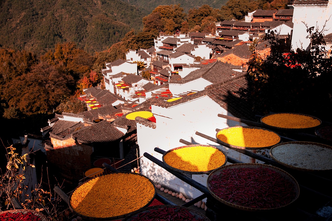 一匹黑马 丨 篁村晒秋