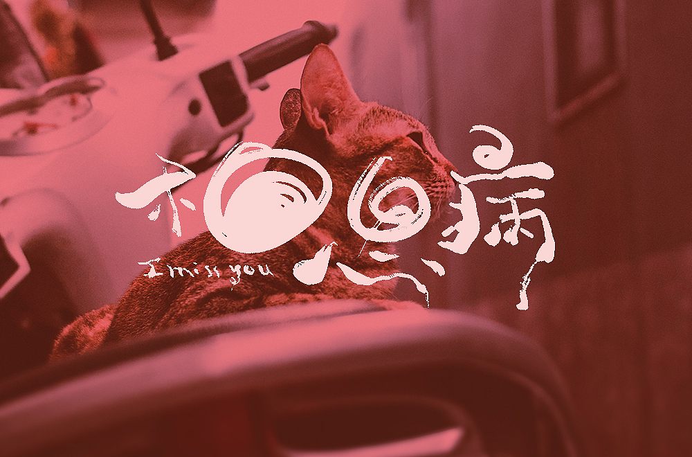 字体帮第1362篇