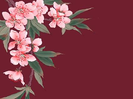 数码工笔桃花