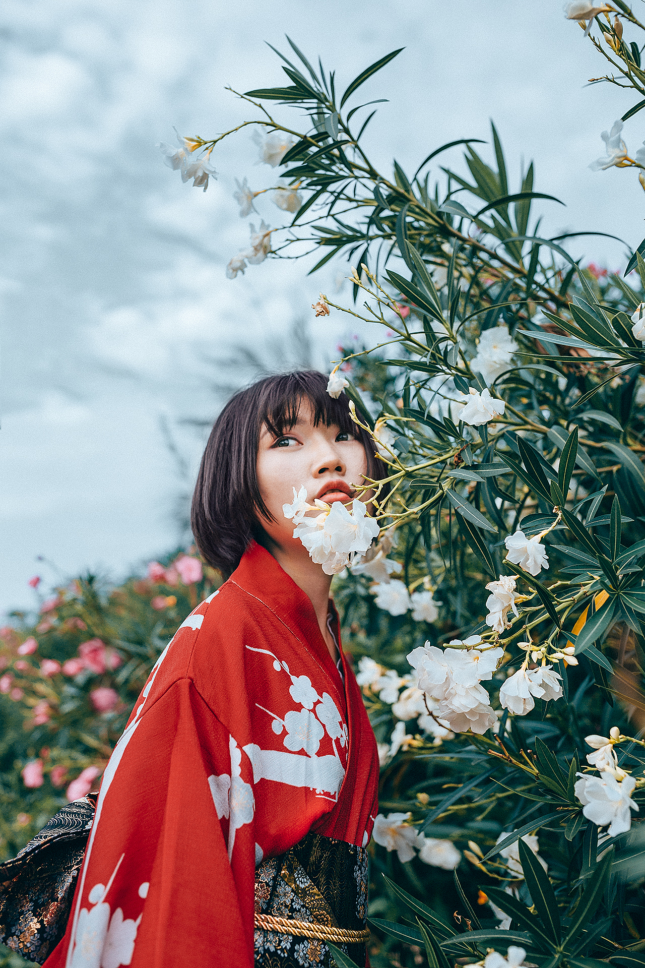 【 是夹竹桃啊 】（图ZMTE4NjQzODMy） - 人像摄影 - 站酷设计师张图图PHOTO原创素材 - 站酷ZCOOL