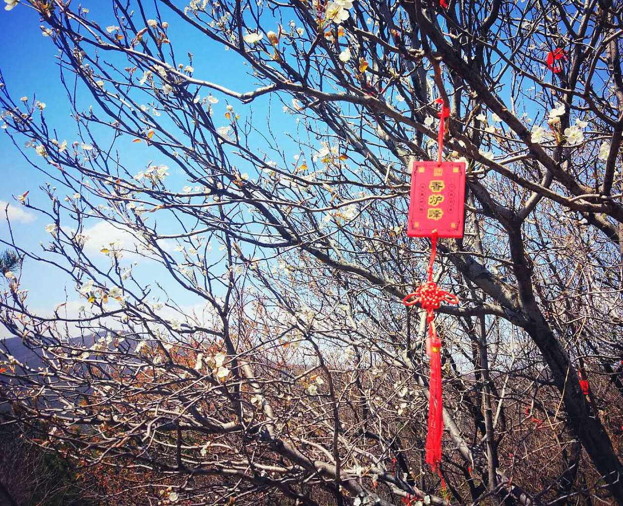 香山（图ZMTEzMDUxNTAw） - 风光摄影 - 站酷设计师苏小苏299原创素材 - 站酷ZCOOL