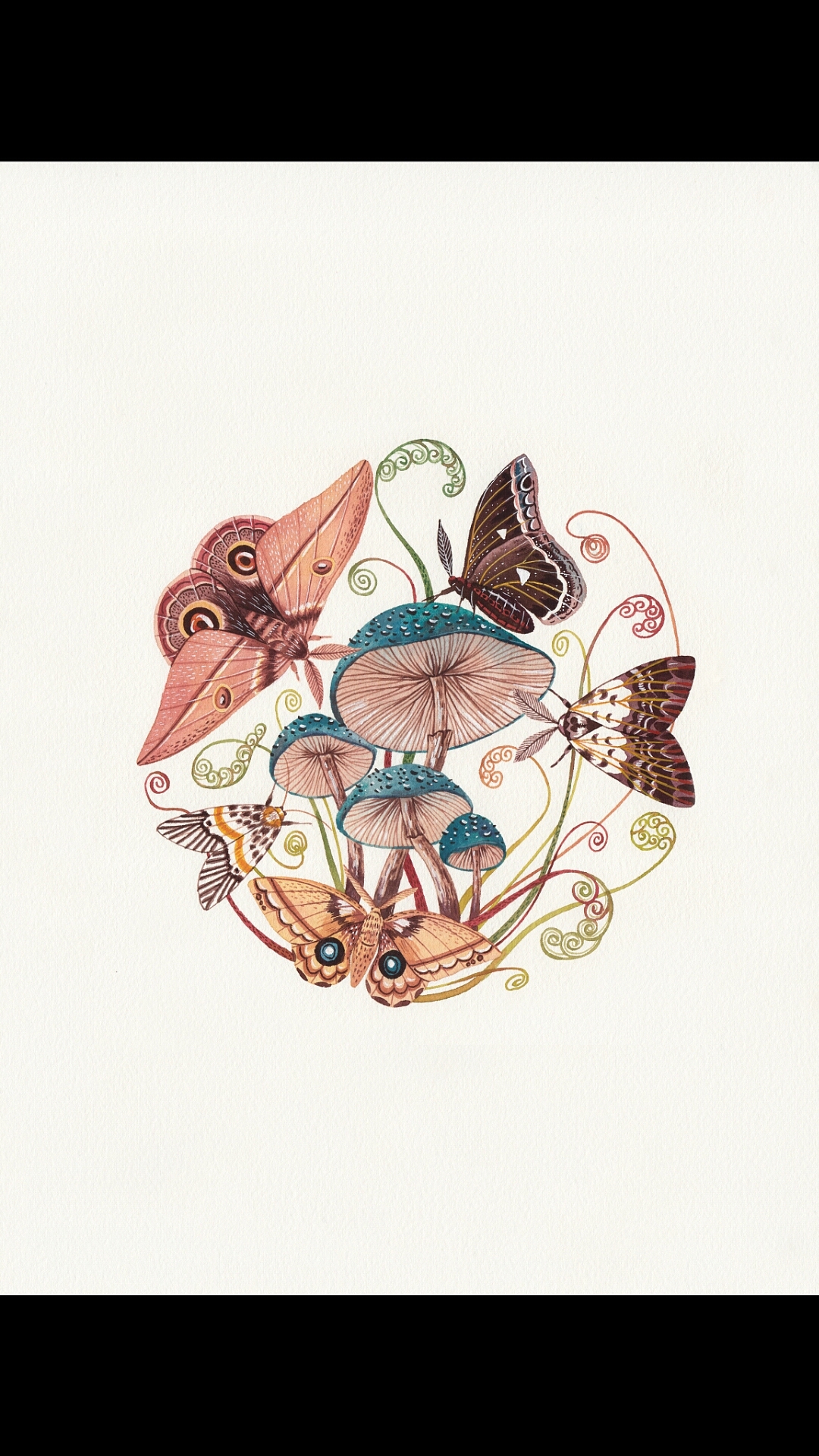 昆虫（图ZMjQxOTY0MzE2） - 创作习作 - 站酷设计师颜无wu原创素材 - 站酷ZCOOL