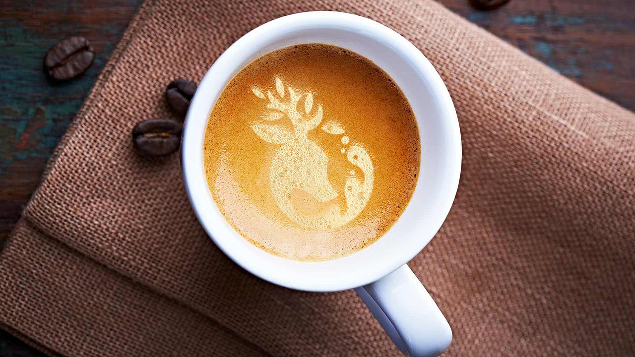 花园式画室——慕溪艺术品牌设计（图ZMjAyNjYyMDM2） - 品牌 - 站酷设计师M仔bakushibi原创素材 - 站酷ZCOOL