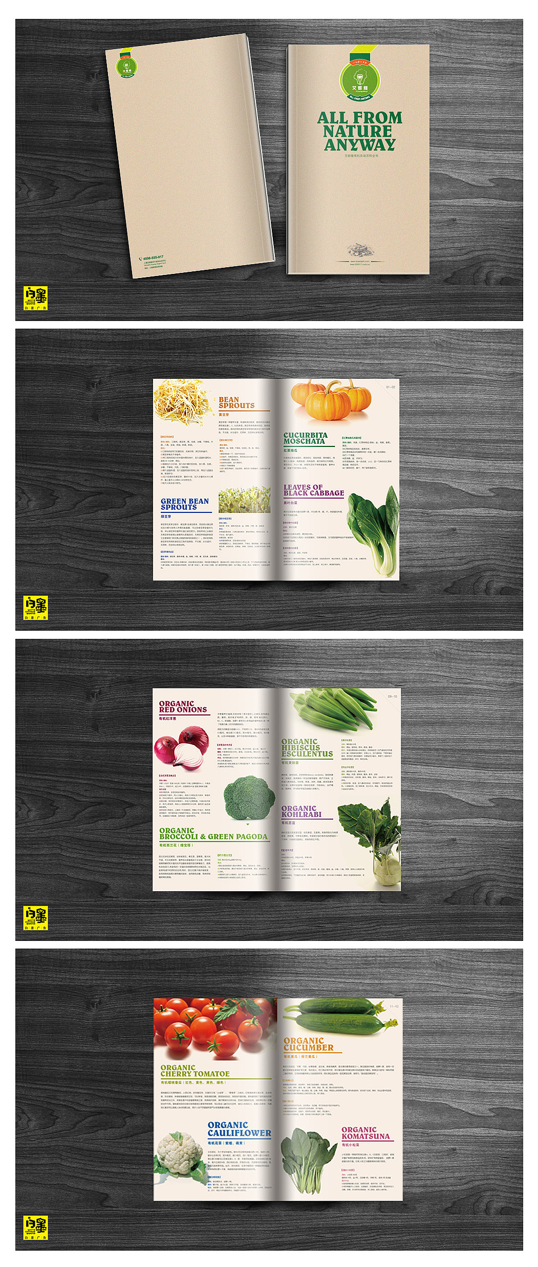 anyway有机蔬菜画册