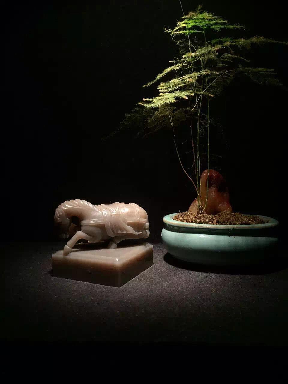 的庐的的庐（图ZMTU1NzEwMjky） - 产品摄影 - 站酷设计师的庐原创素材 - 站酷ZCOOL