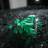BAOXIAOCHAOTING的头像