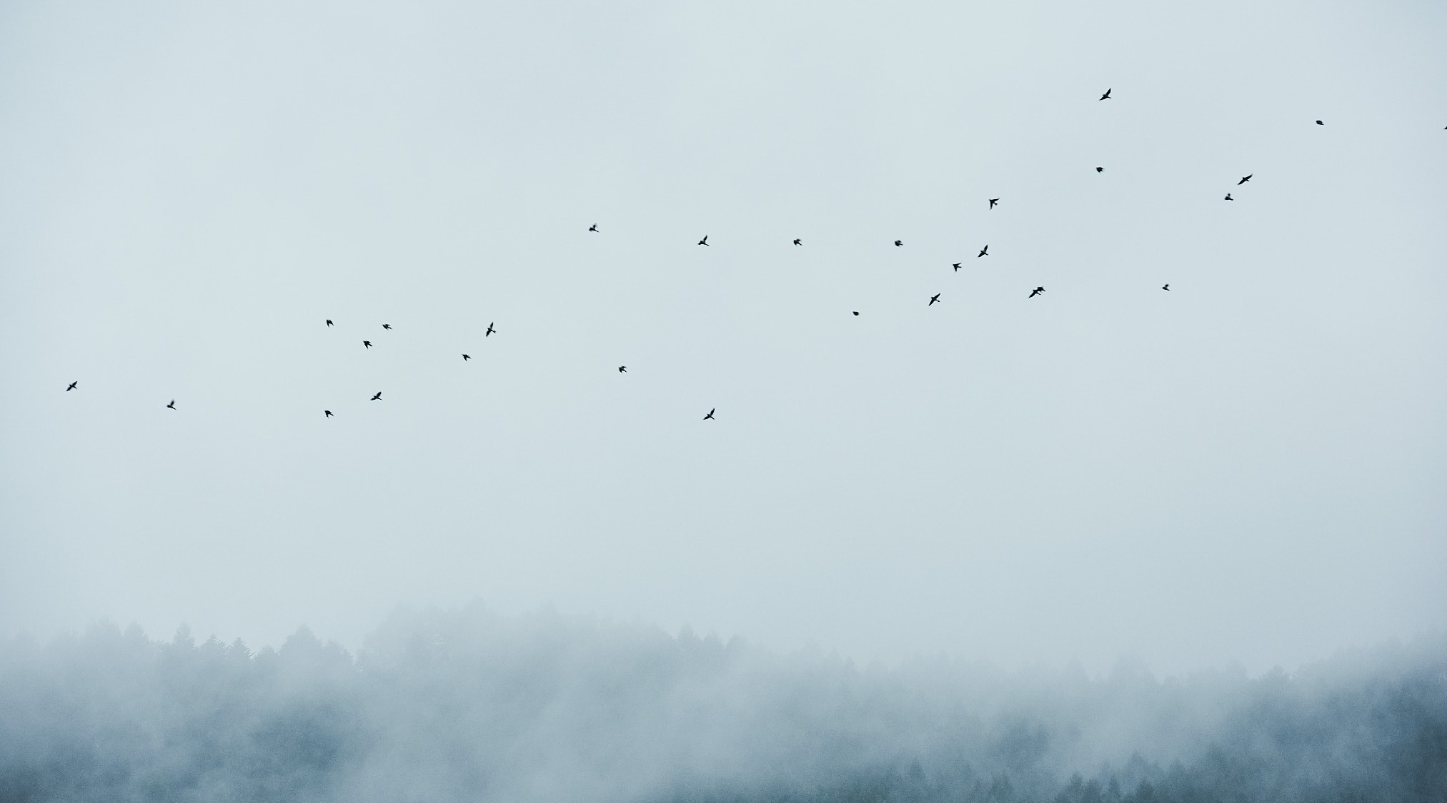 Joey__的個(gè)人主頁(yè)（背景預(yù)覽） - 主頁(yè)背景設(shè)置 - 站酷設(shè)計(jì)師Joey__原創(chuàng)素材 - 站酷ZCOOL