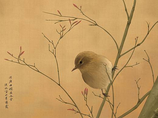 鸟（个人主页-ZNTExMTI2NjA=） - 创作习作 - 站酷设计师陆川_c原创素材 - 站酷ZCOOL